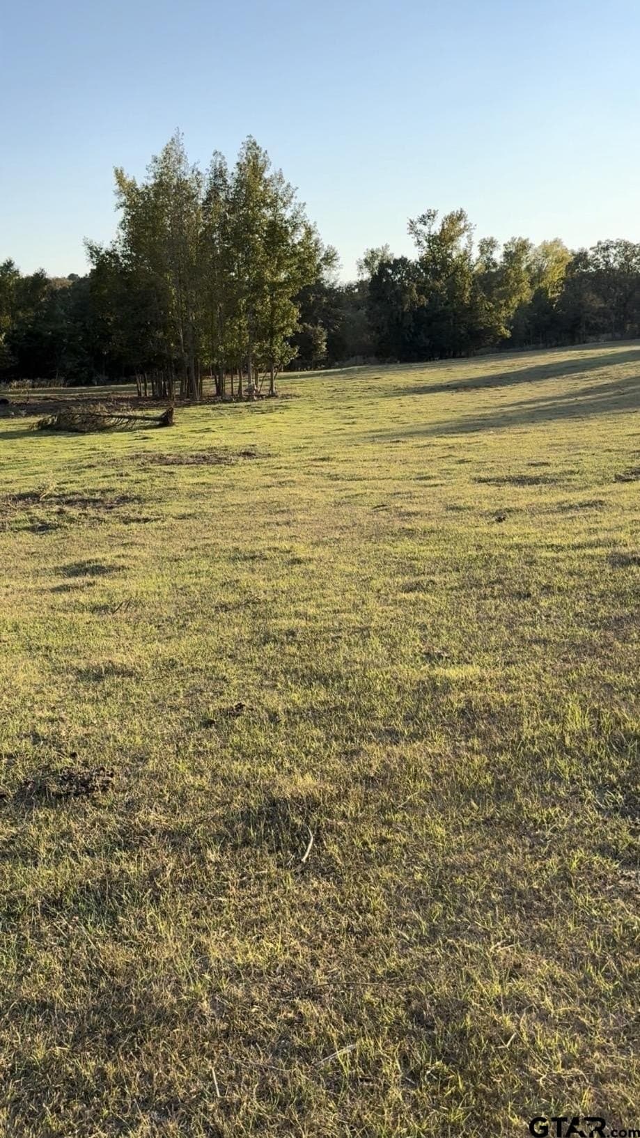 10.01 acres in Smith County - photo 7