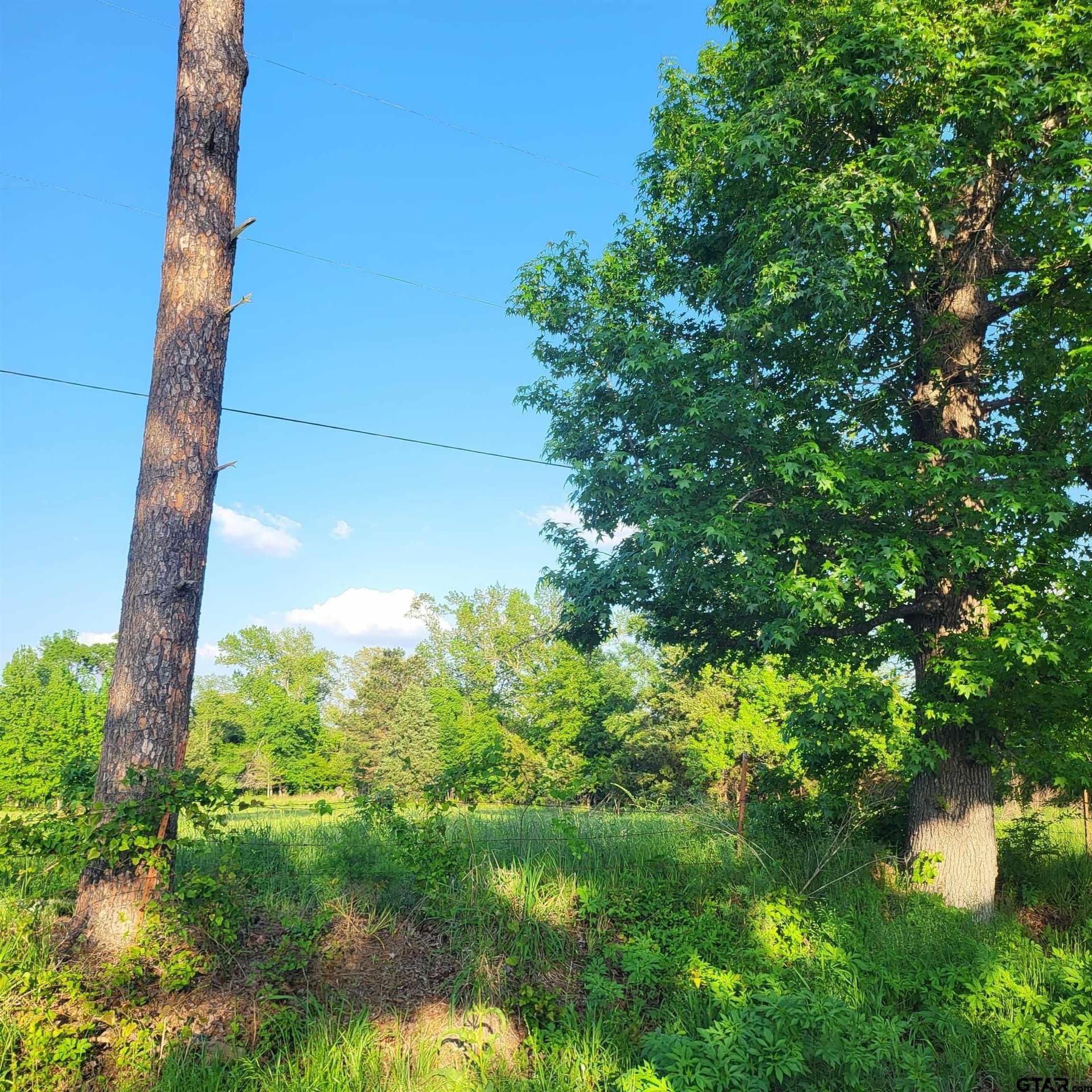 10.01 acres in Smith County - photo 6