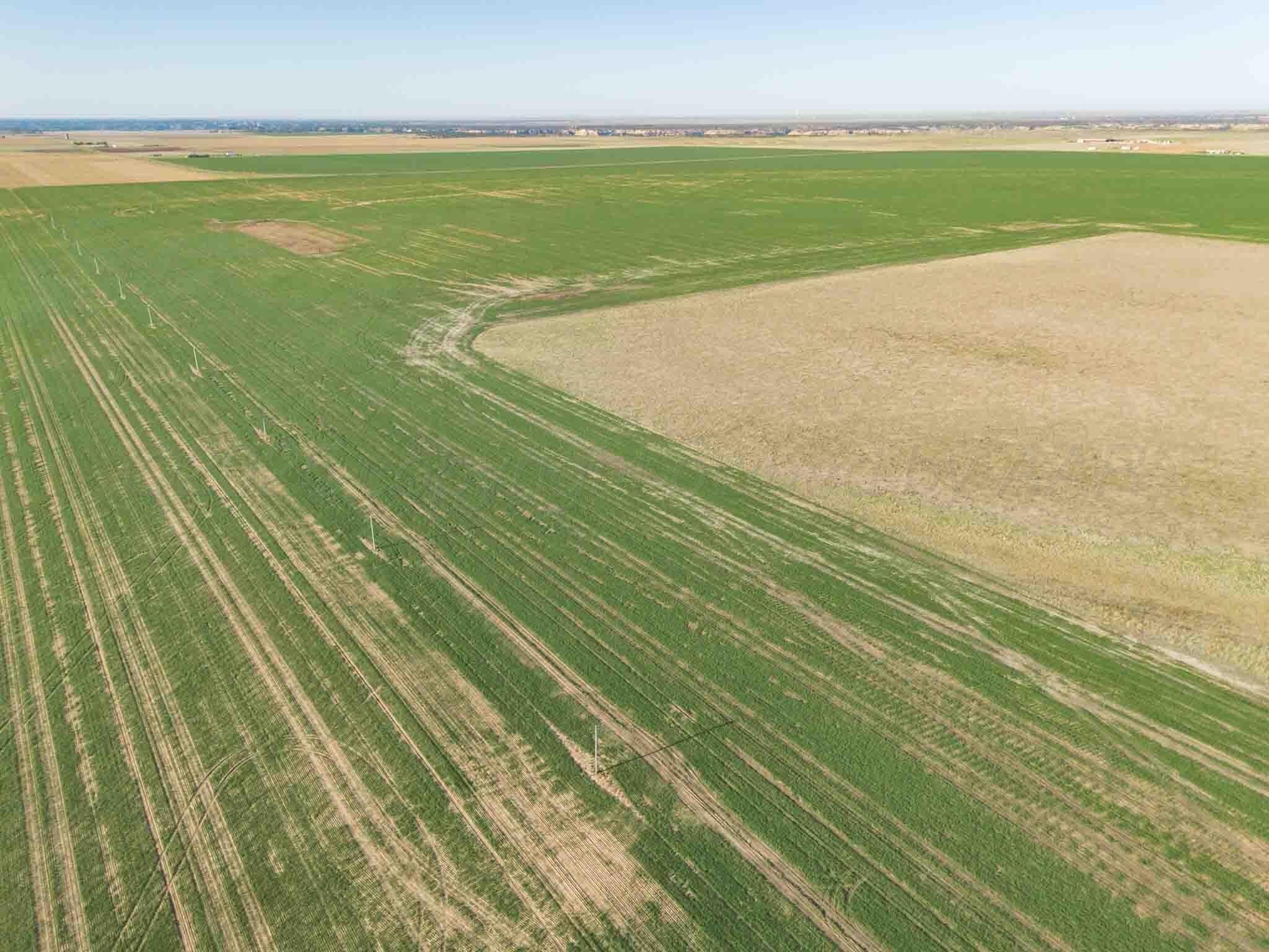 75 acres in Randall County - photo 6