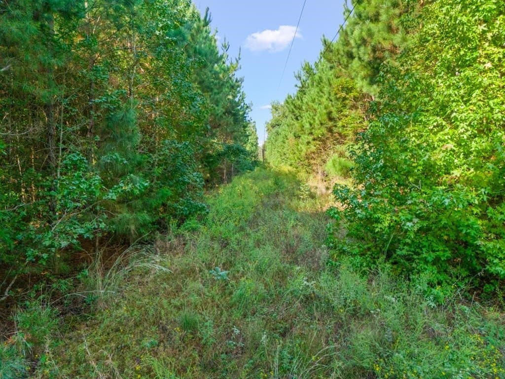 12.53 acres in Upshur County - photo 10