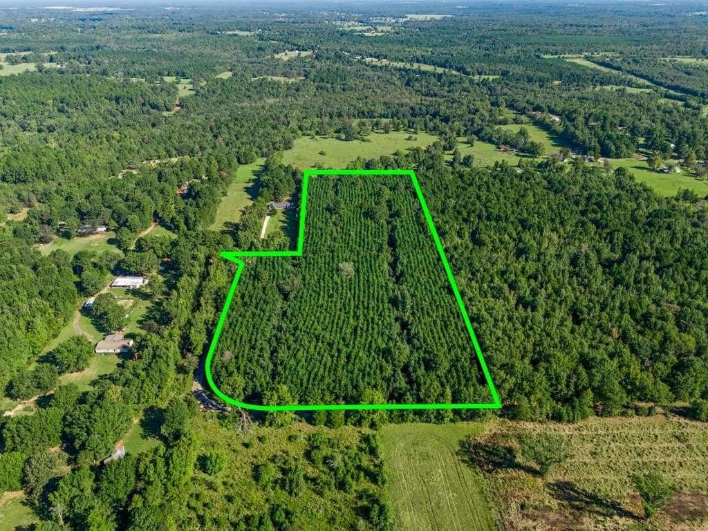 12.53 acres in Upshur County - photo 20