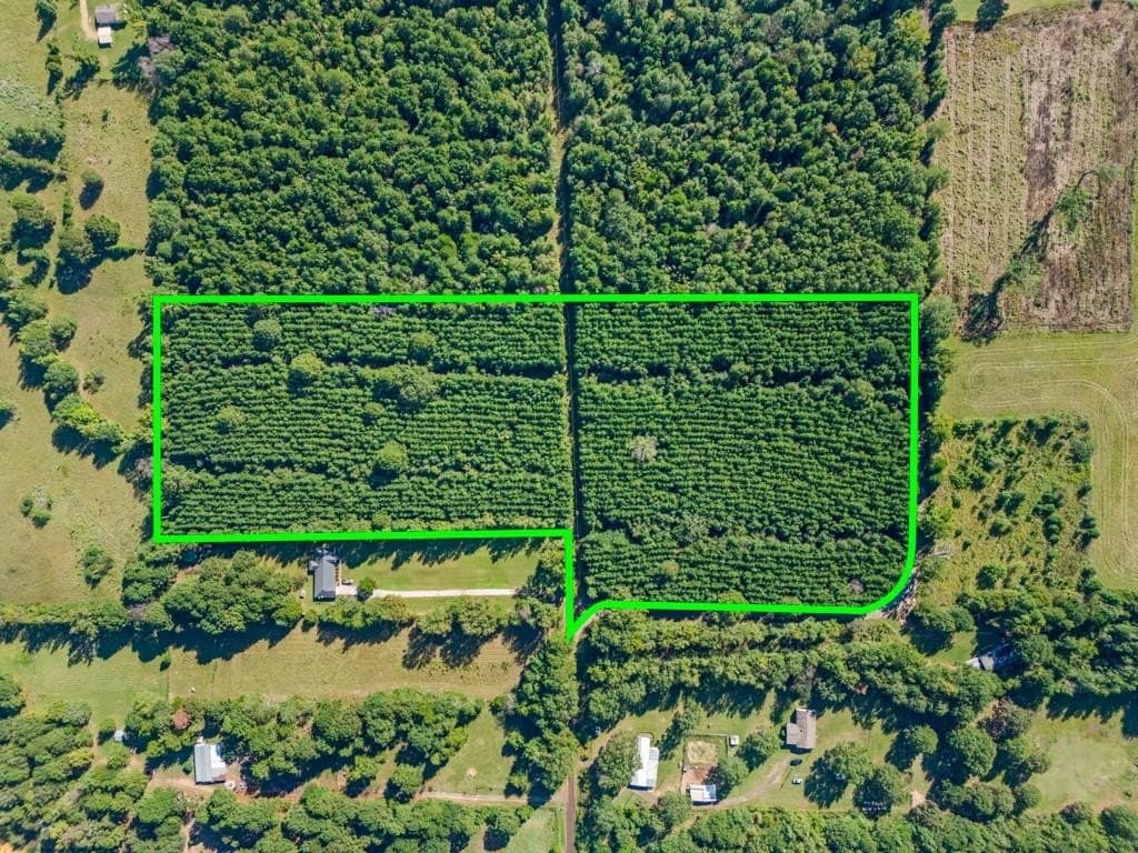 12.53 acres in Upshur County - photo 14