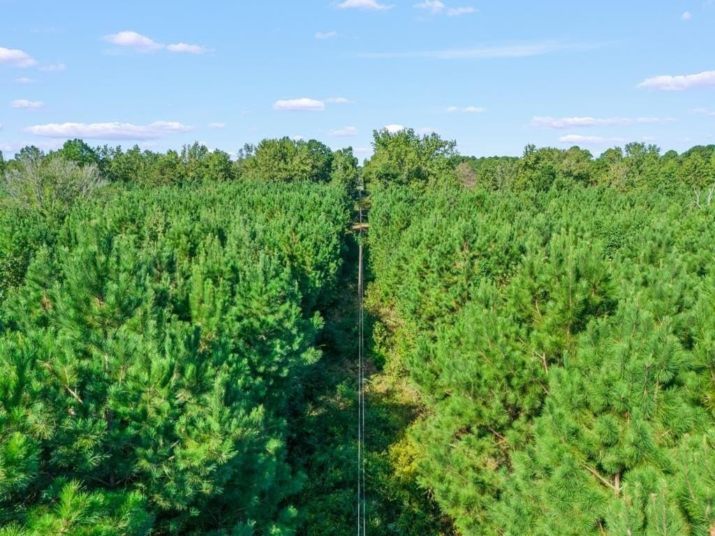 12.53 acres in Upshur County - photo 9