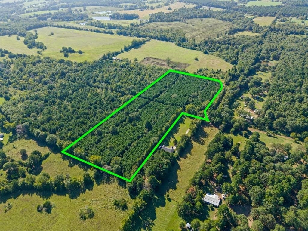 12.53 acres in Upshur County - photo 15