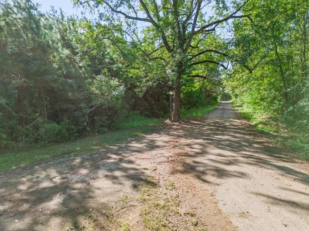12.53 acres in Upshur County gallery image 4