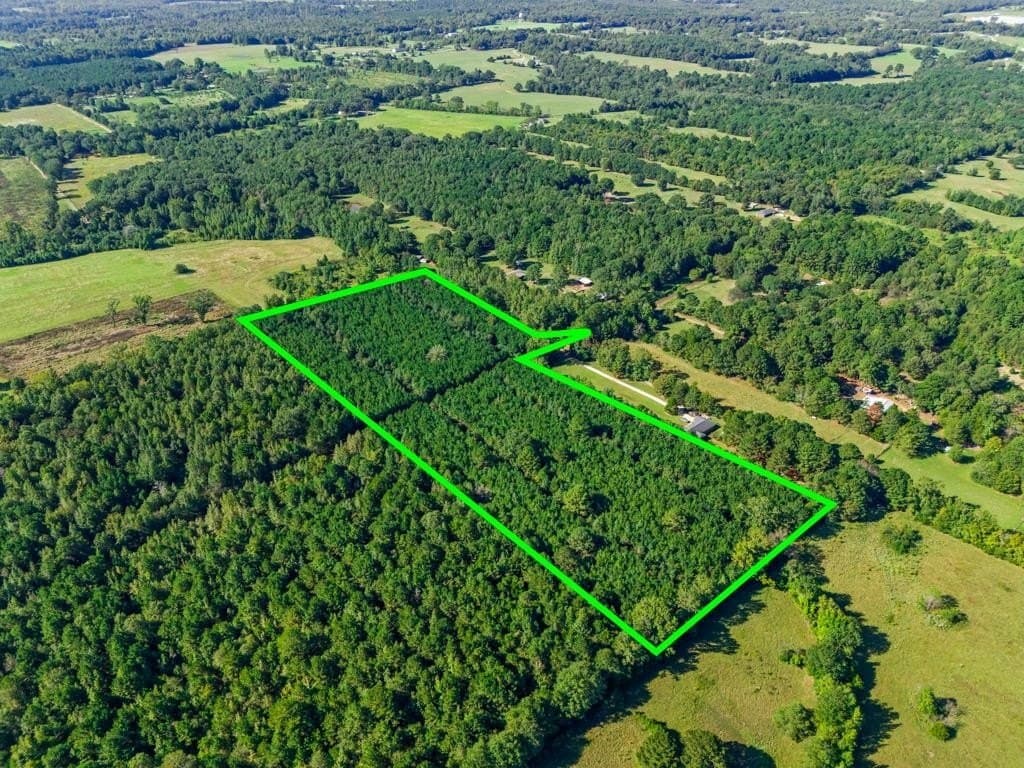 12.53 acres in Upshur County - photo 17