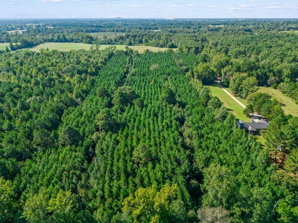 12.53 acres in Upshur County - photo 12
