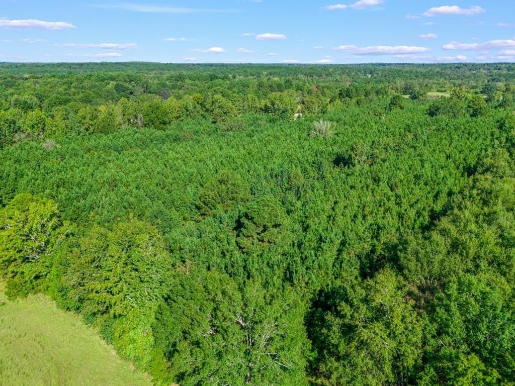 12.53 acres in Upshur County - photo 8