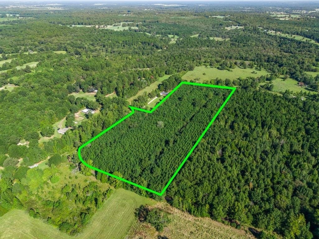 12.53 acres in Upshur County - photo 19