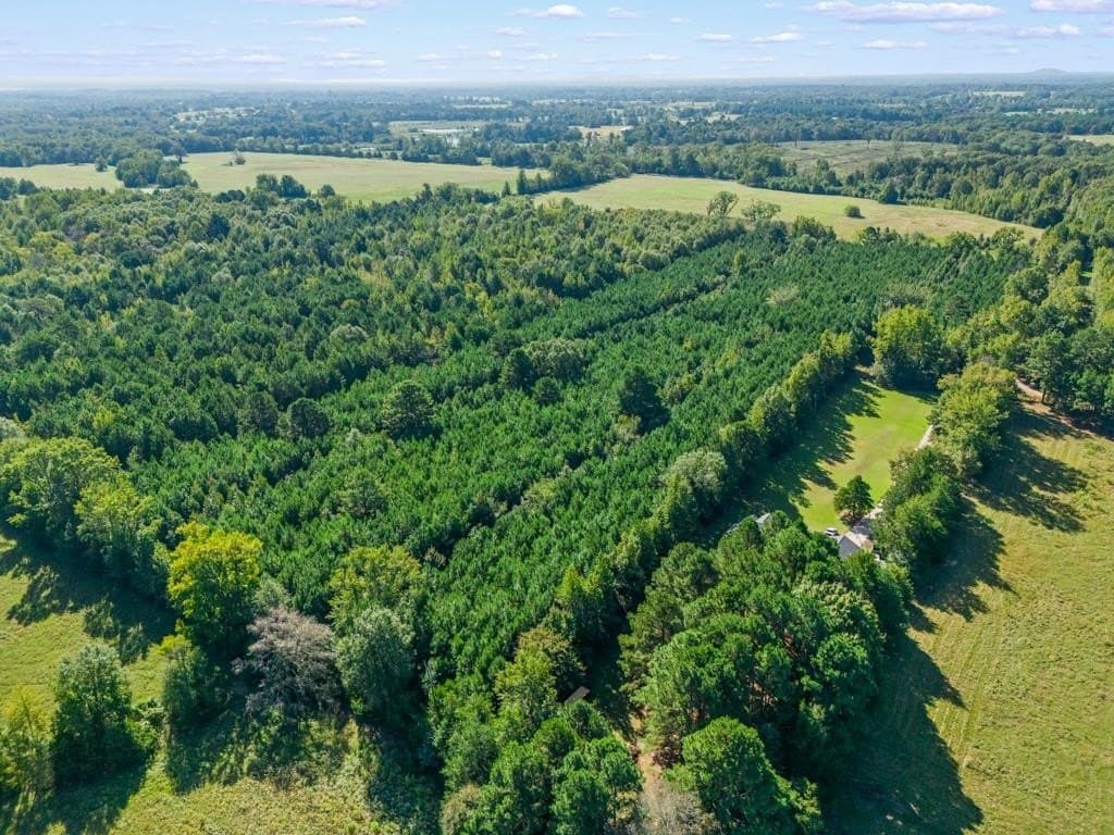12.53 acres in Upshur County - photo 13