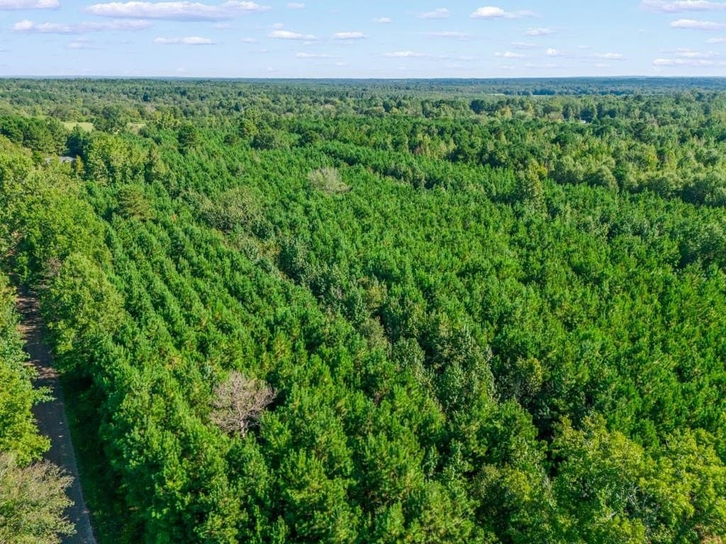 12.53 acres in Upshur County - photo 6