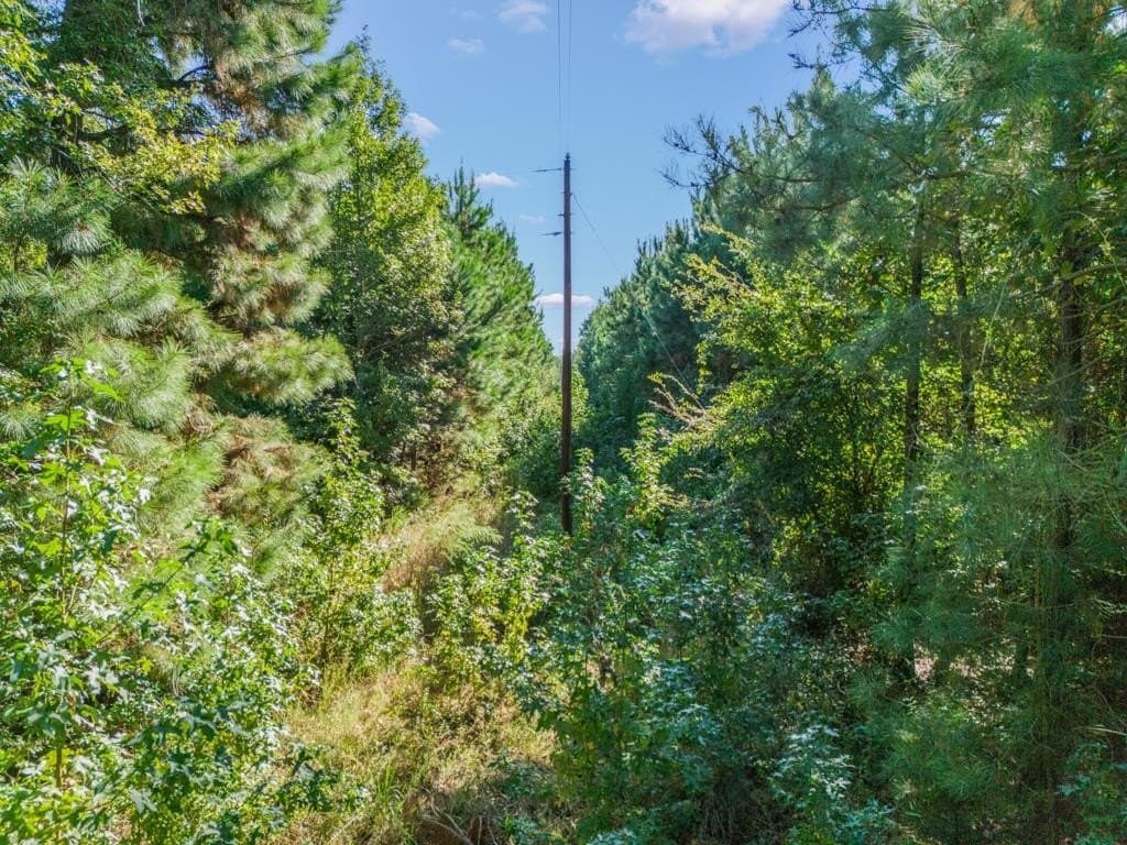12.53 acres in Upshur County - photo 22