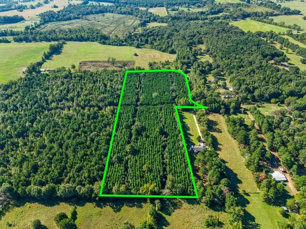 12.53 acres in Upshur County - photo 16