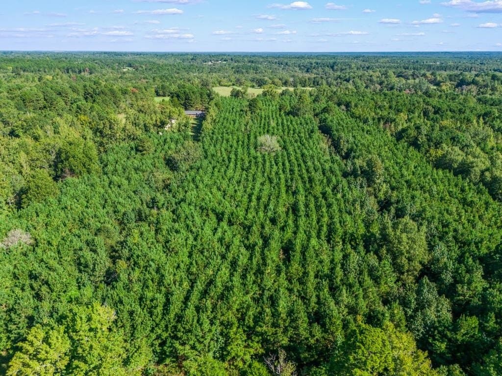 12.53 acres in Upshur County - photo 7