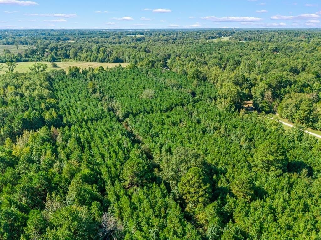 12.53 acres in Upshur County - photo 11
