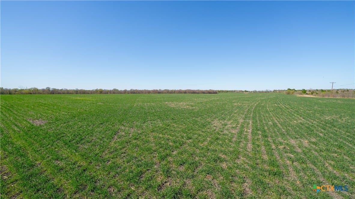 6 acres in Milam County gallery image 4