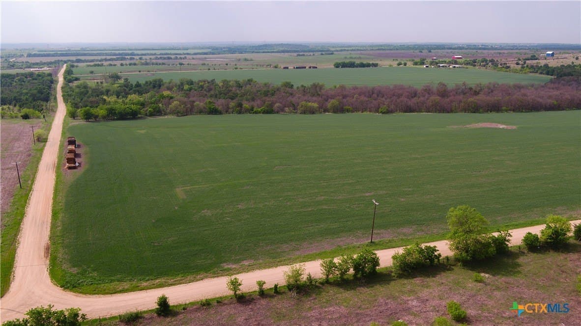 6 acres in Milam County gallery image 3