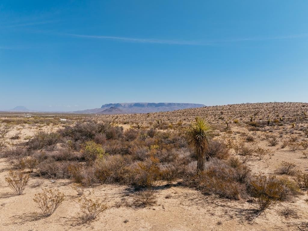 41 acres in Brewster County