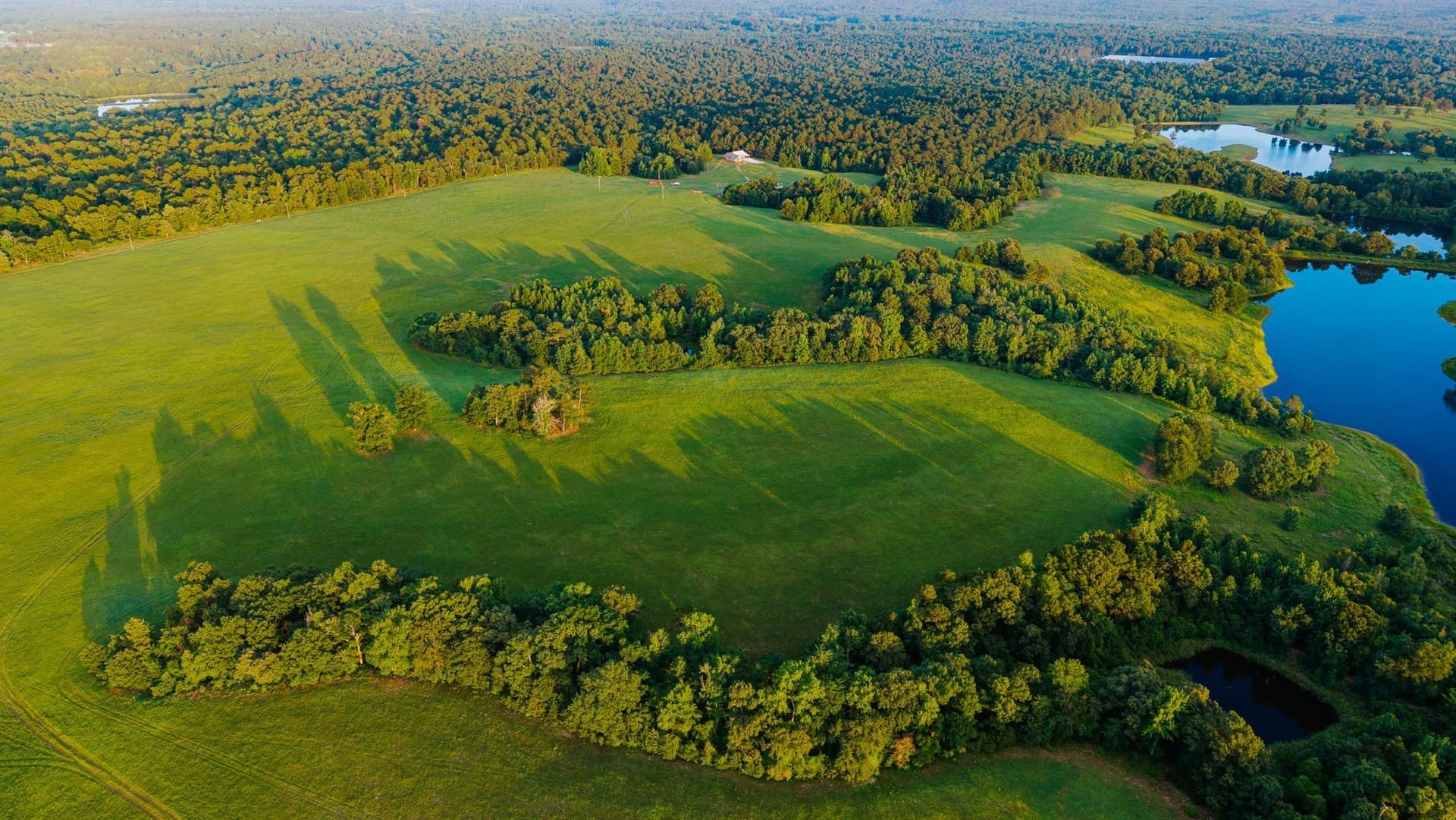22.73 acres in Wood County - photo 18