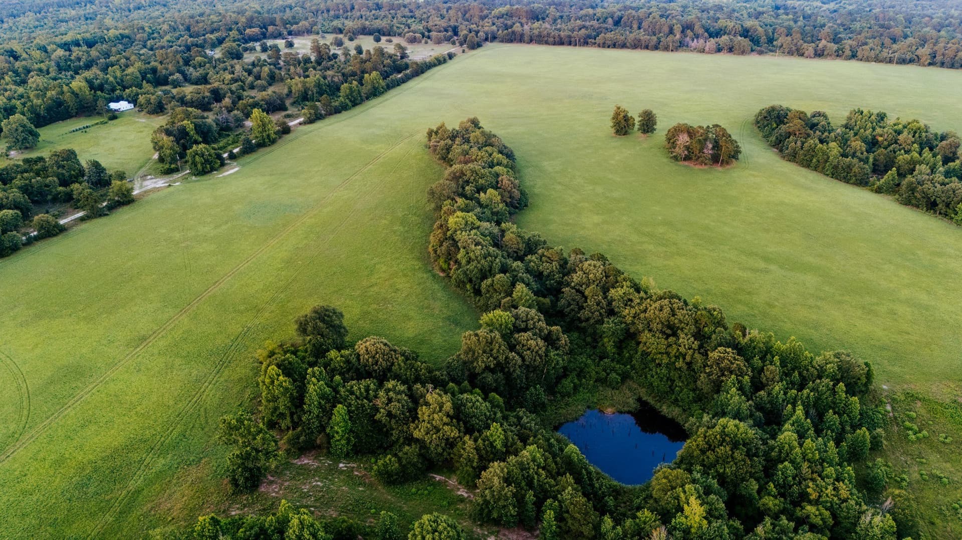 22.73 acres in Wood County - photo 24