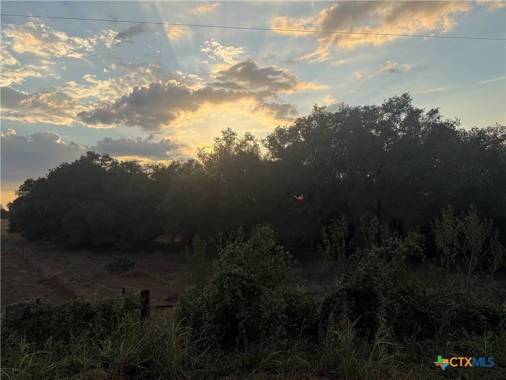 11 acres in Wilson County - photo 7