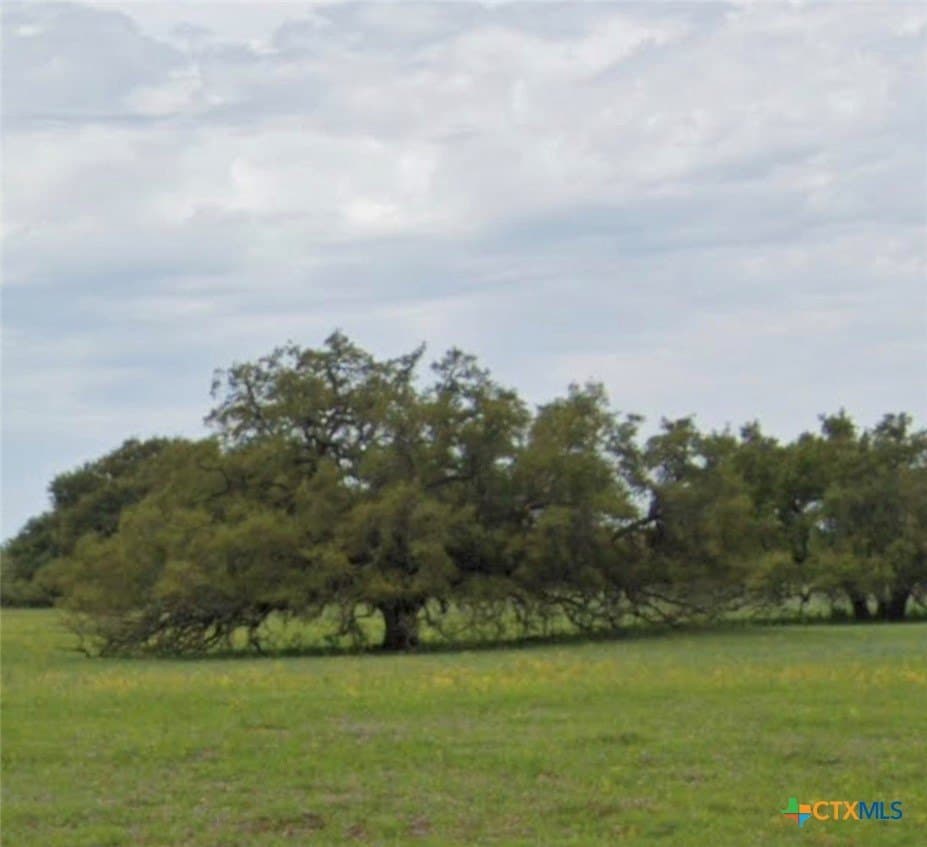 11 acres in Wilson County - photo 2