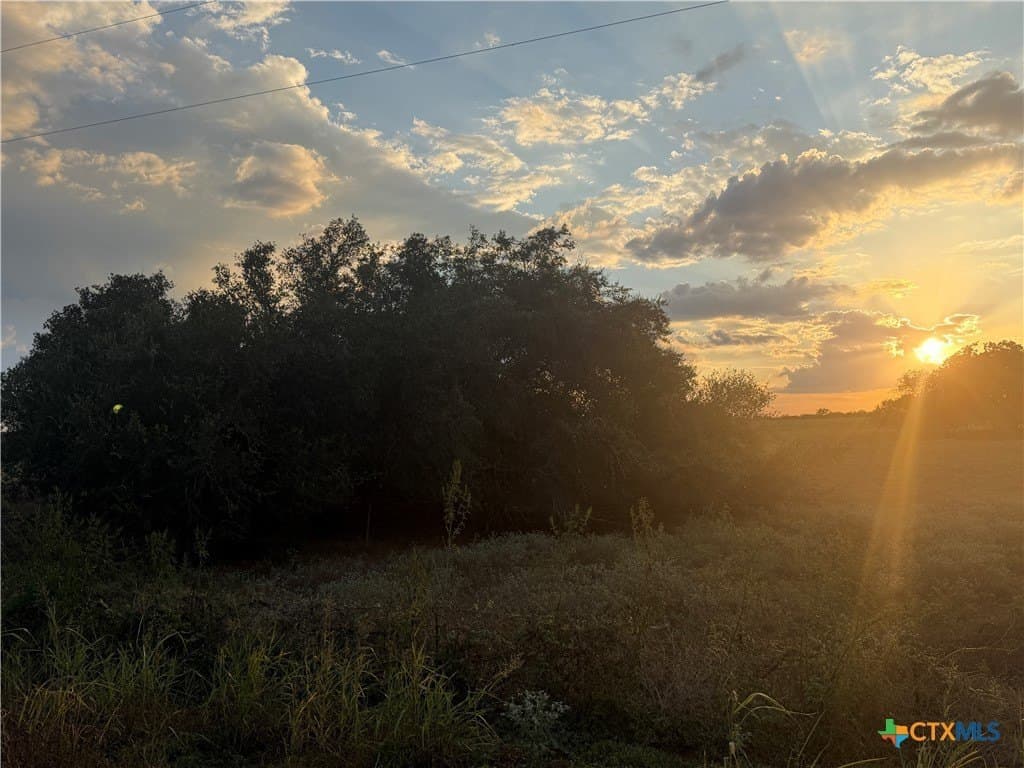 11 acres in Wilson County - photo 9