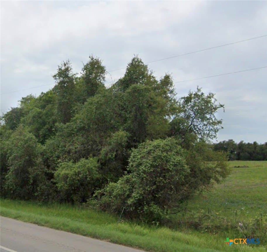 11 acres in Wilson County - photo 3