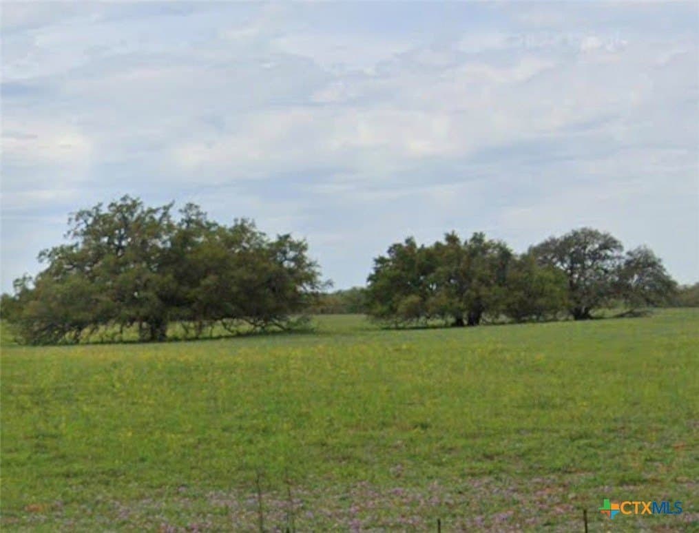 11 acres in Wilson County - photo 11