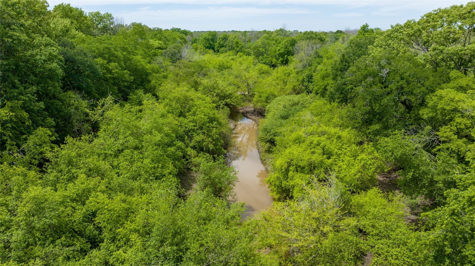 120 acres in Red River (TX) County - photo 17