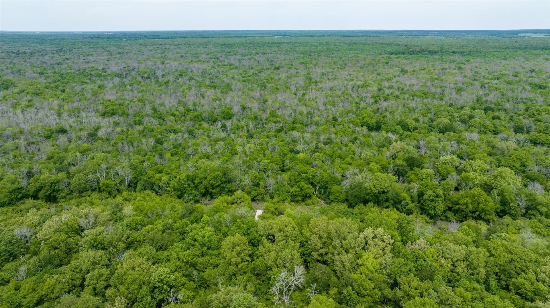 120 acres in Red River (TX) County - photo 18