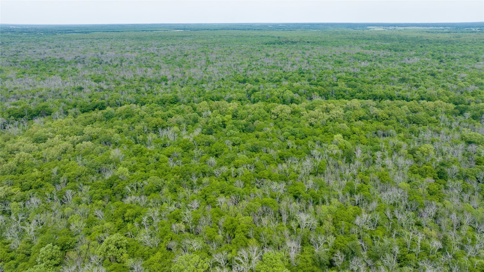 120 acres in Red River (TX) County - photo 21
