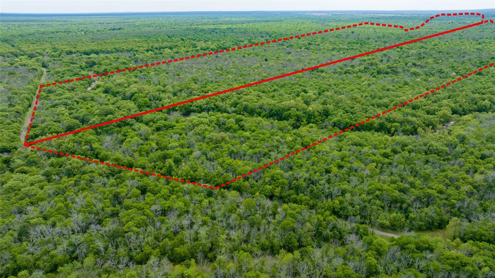 120 acres in Red River (TX) County - photo 6