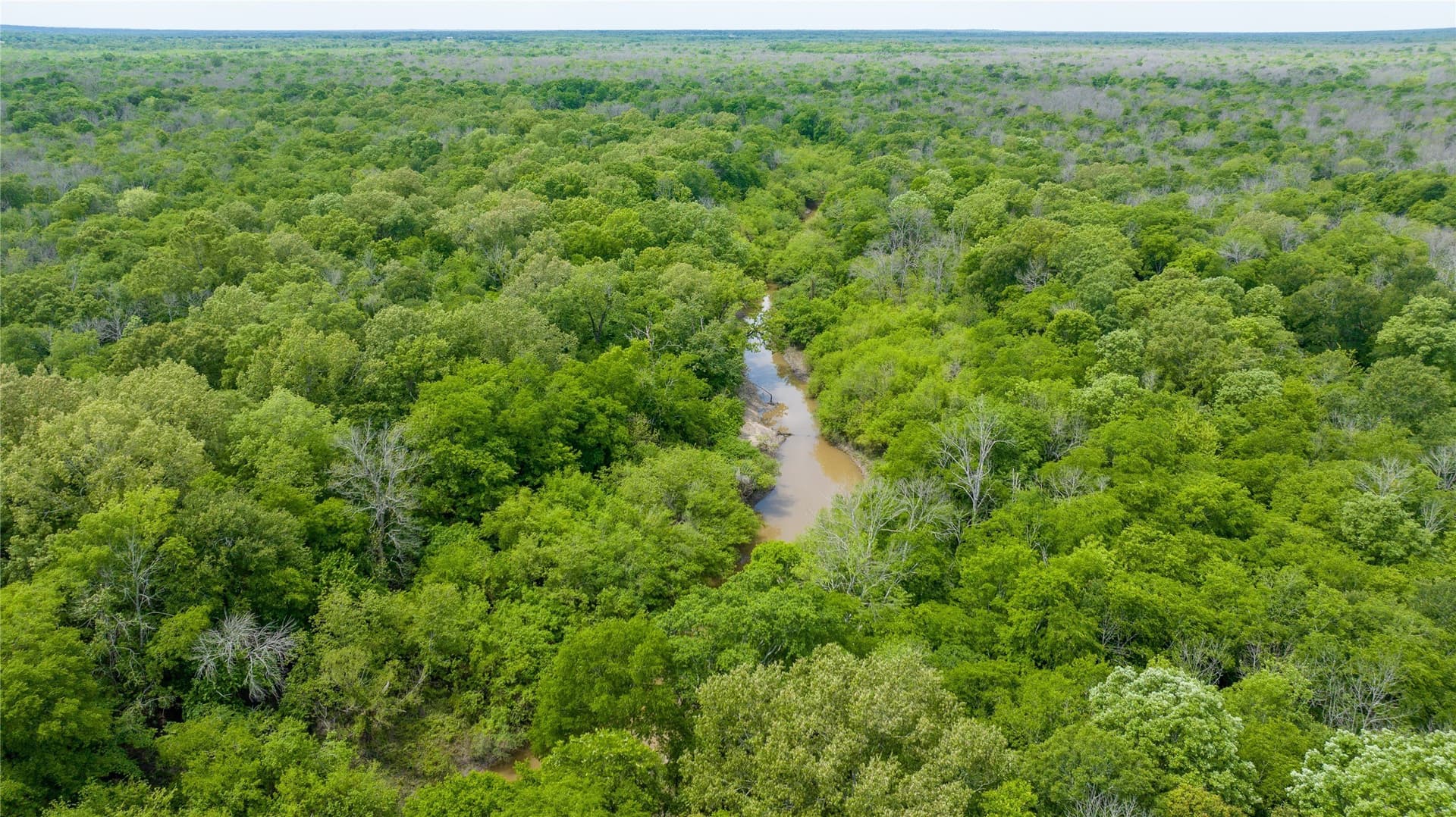 120 acres in Red River (TX) County - photo 4