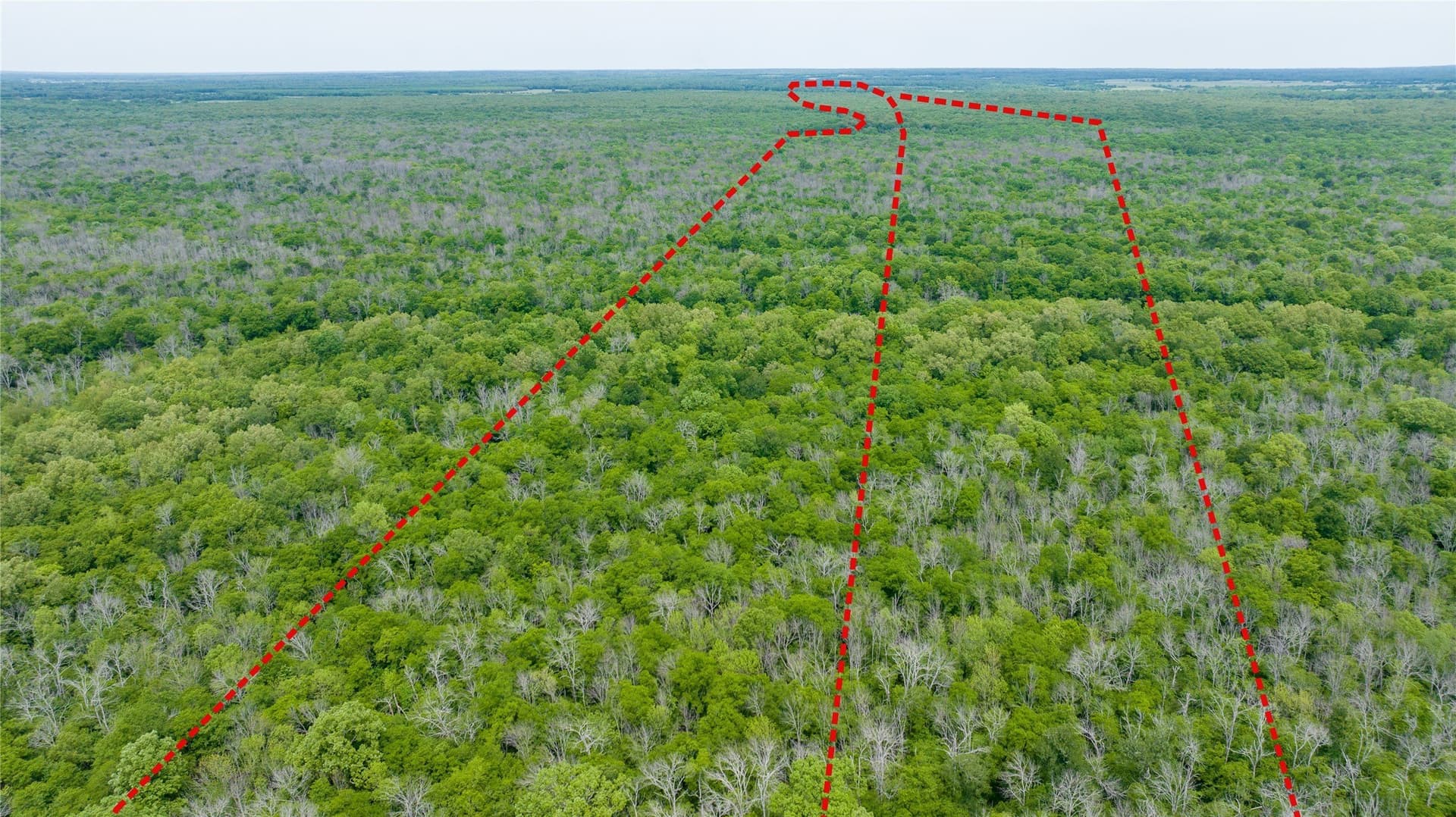 120 acres in Red River (TX) County - photo 5