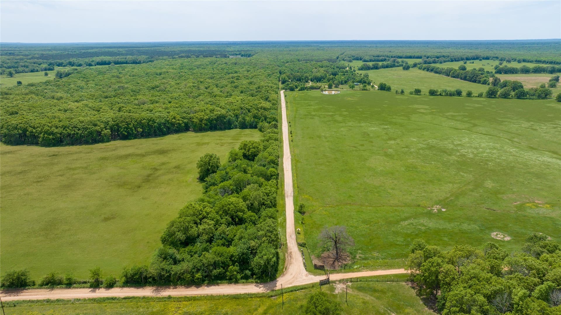 120 acres in Red River (TX) County - photo 8