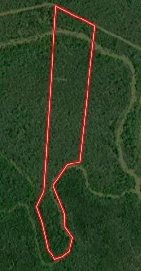 120 acres in Red River (TX) County - photo 23