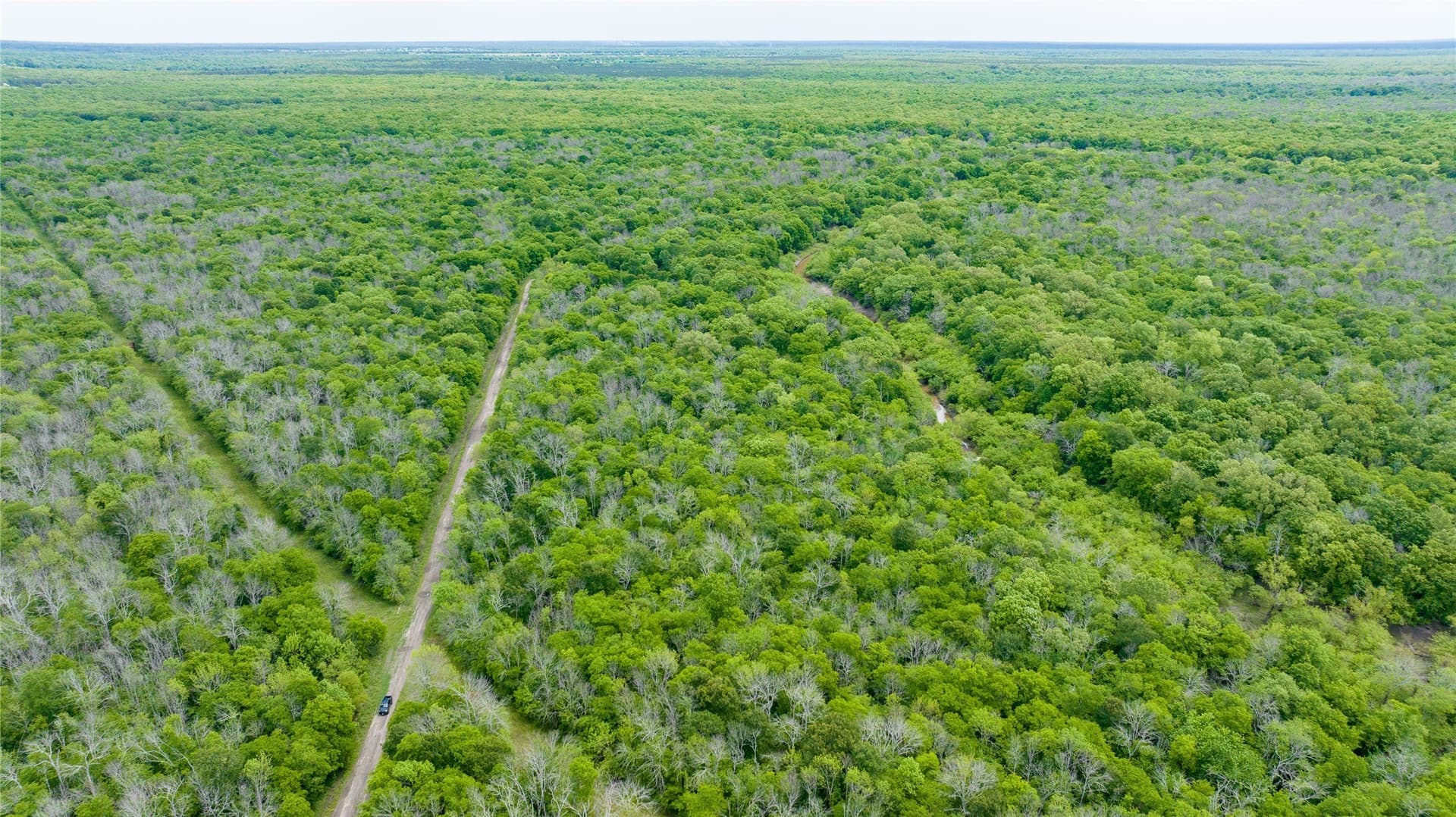120 acres in Red River (TX) County - photo 10
