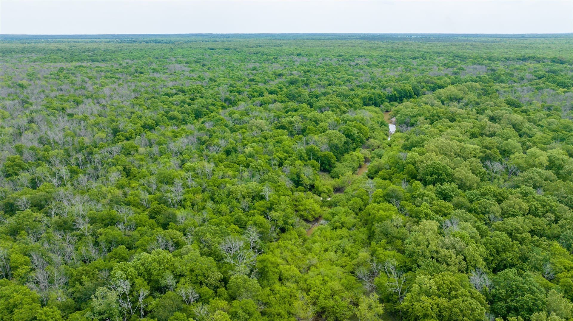 120 acres in Red River (TX) County - photo 19