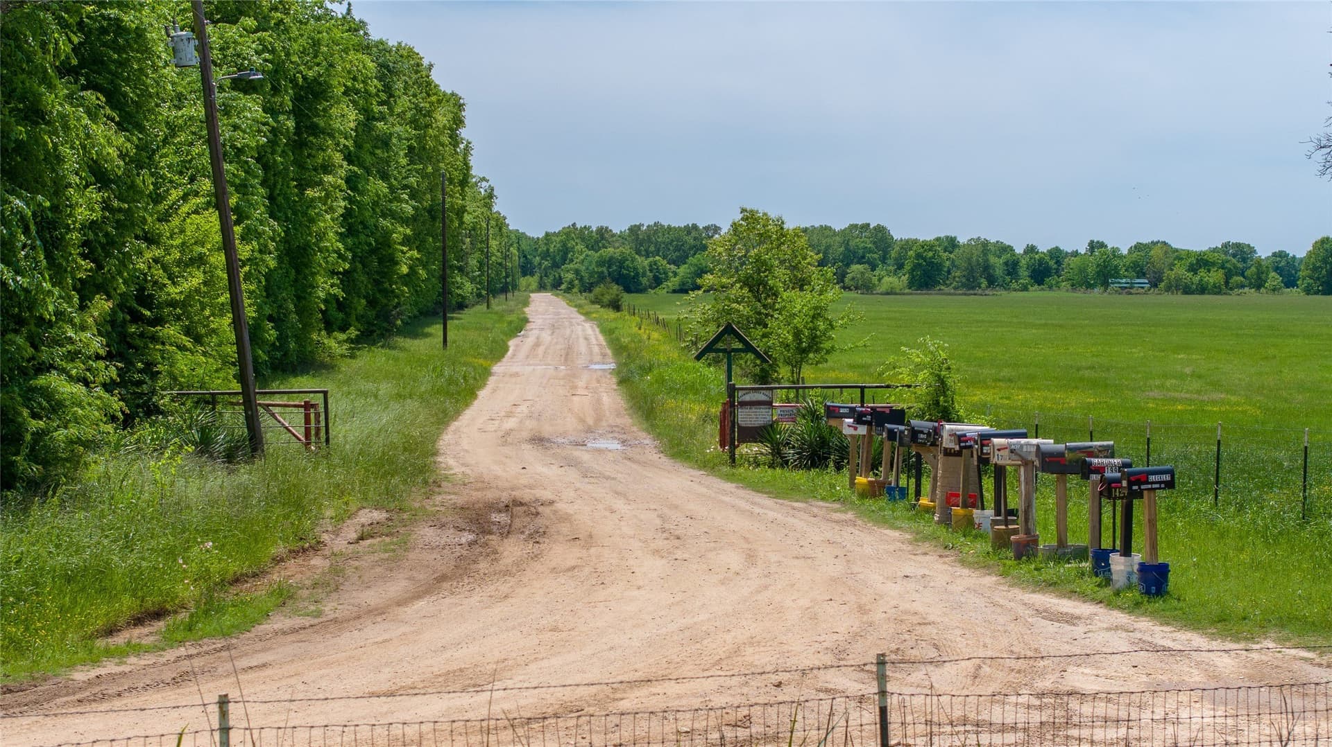 120 acres in Red River (TX) County - photo 7