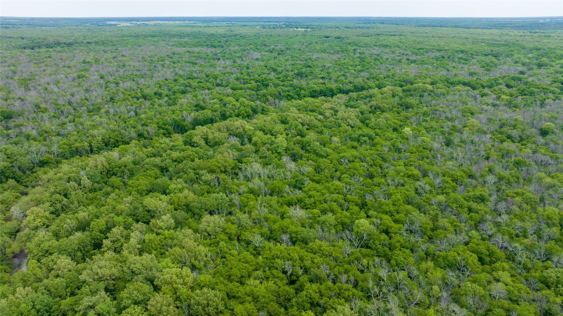 120 acres in Red River (TX) County - photo 3