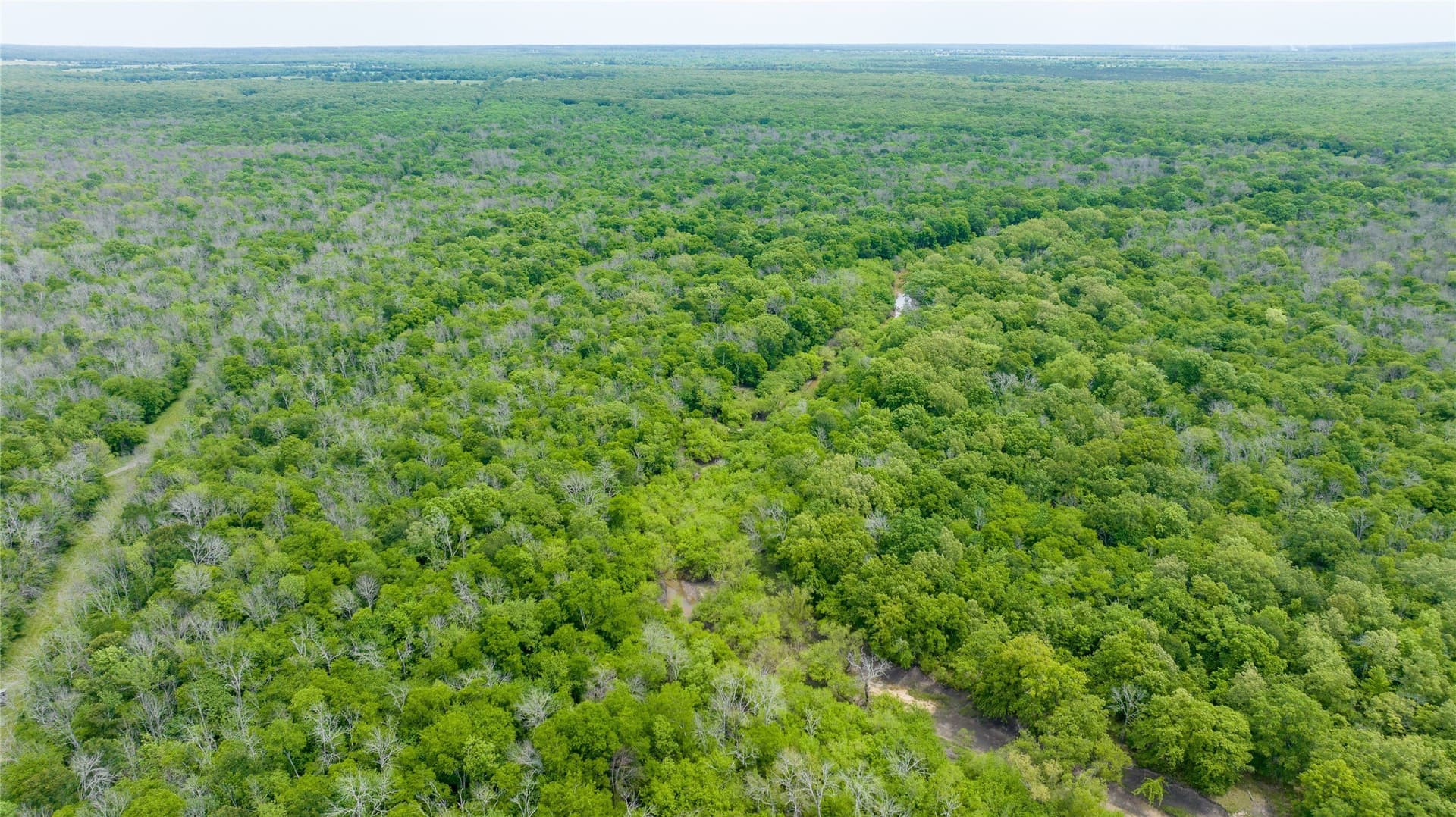 120 acres in Red River (TX) County - photo 20