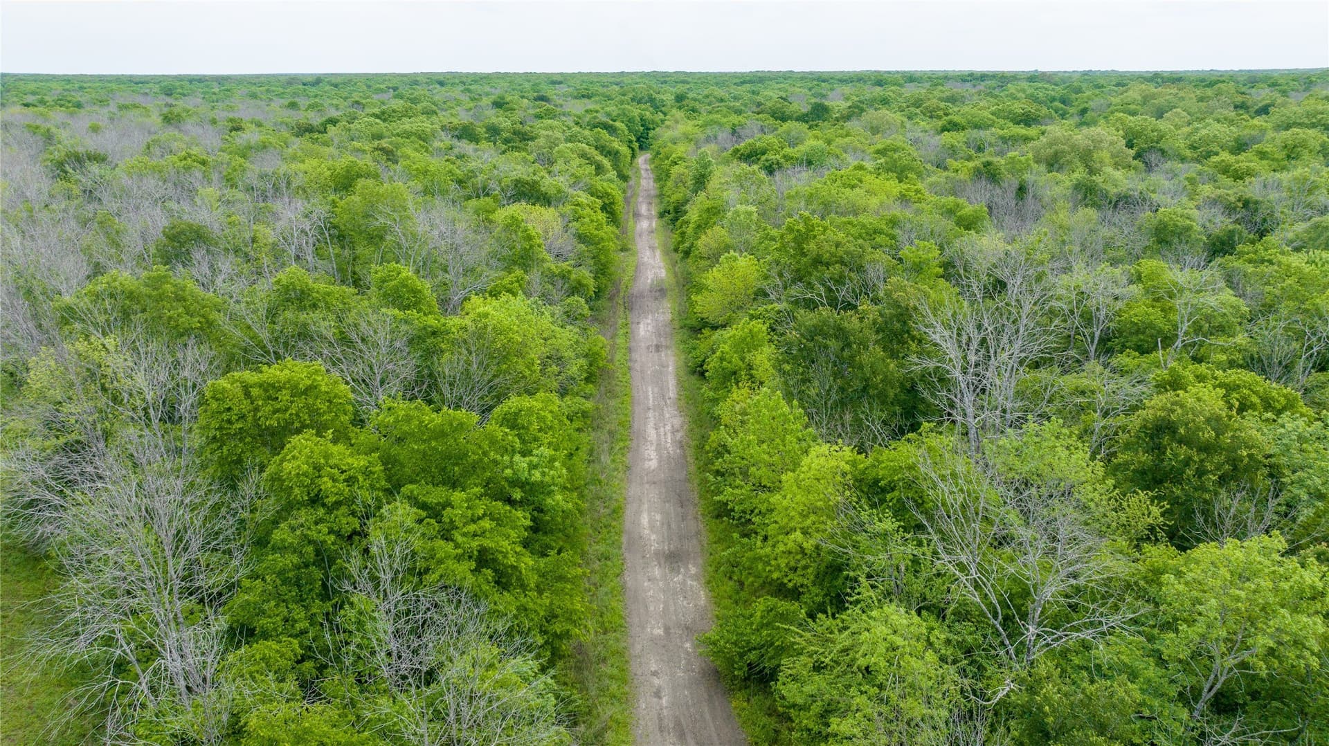 120 acres in Red River (TX) County - photo 9