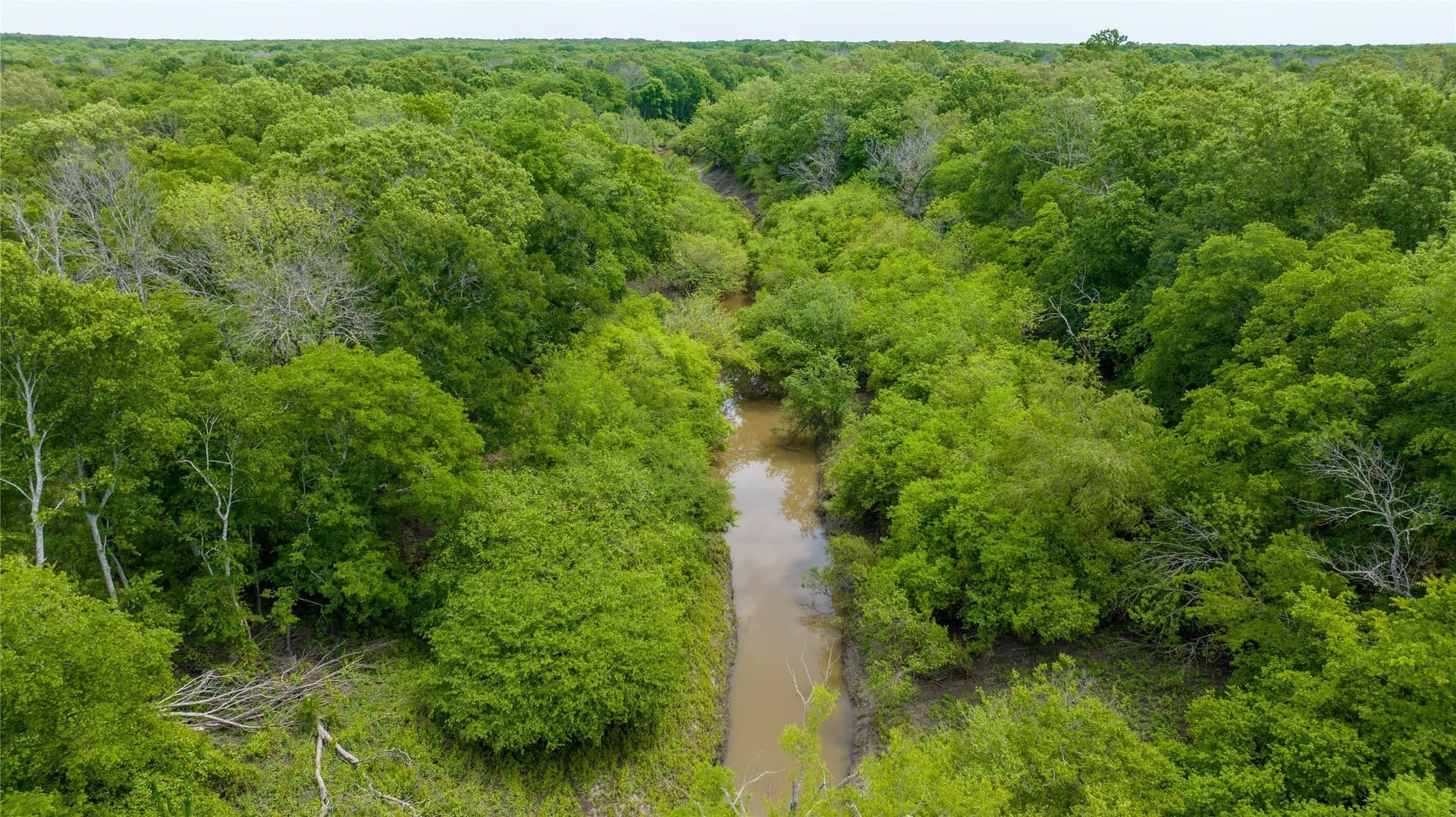 120 acres in Red River (TX) County - photo 2