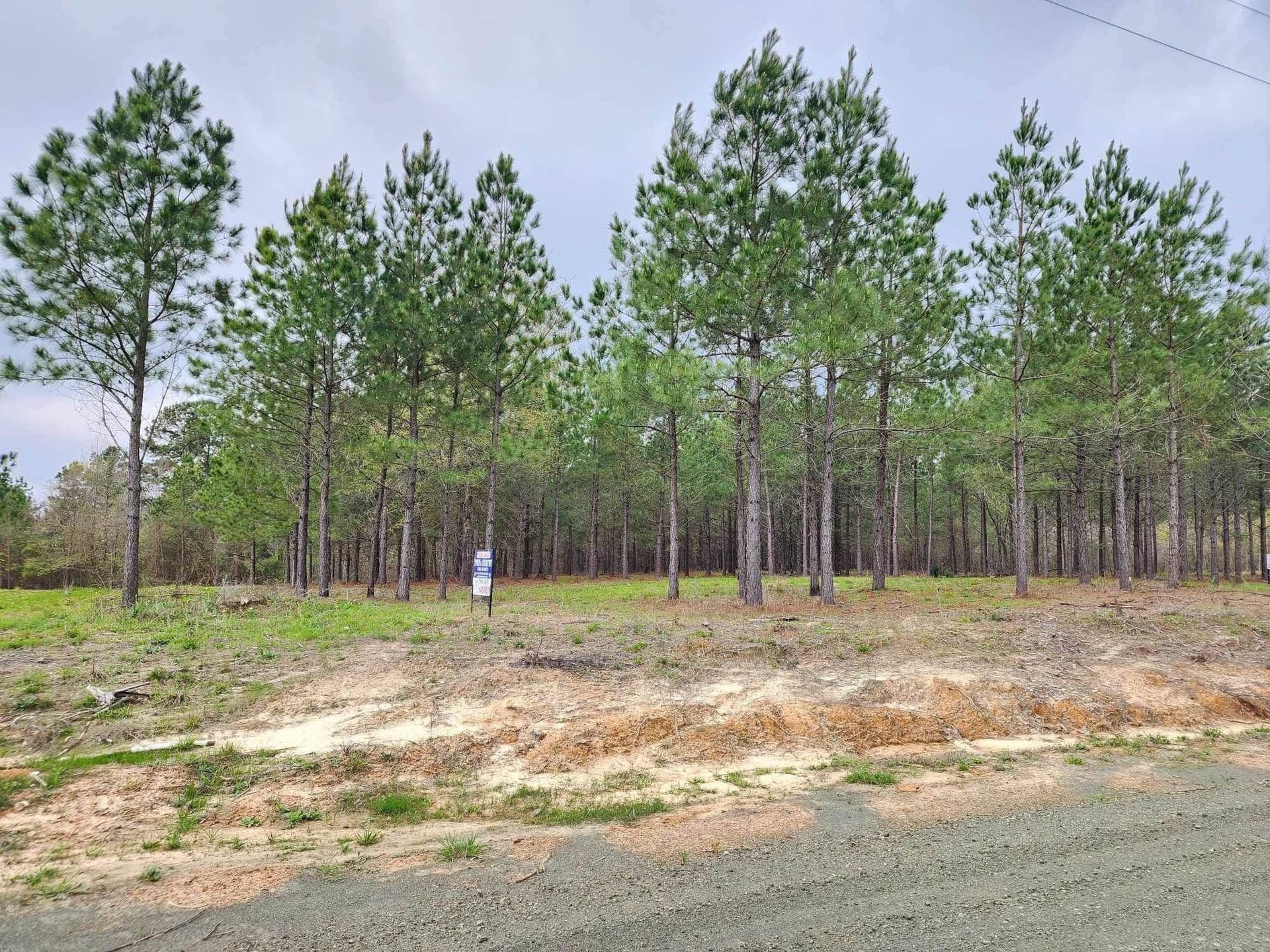 20.32 acres in Texas County - photo 4