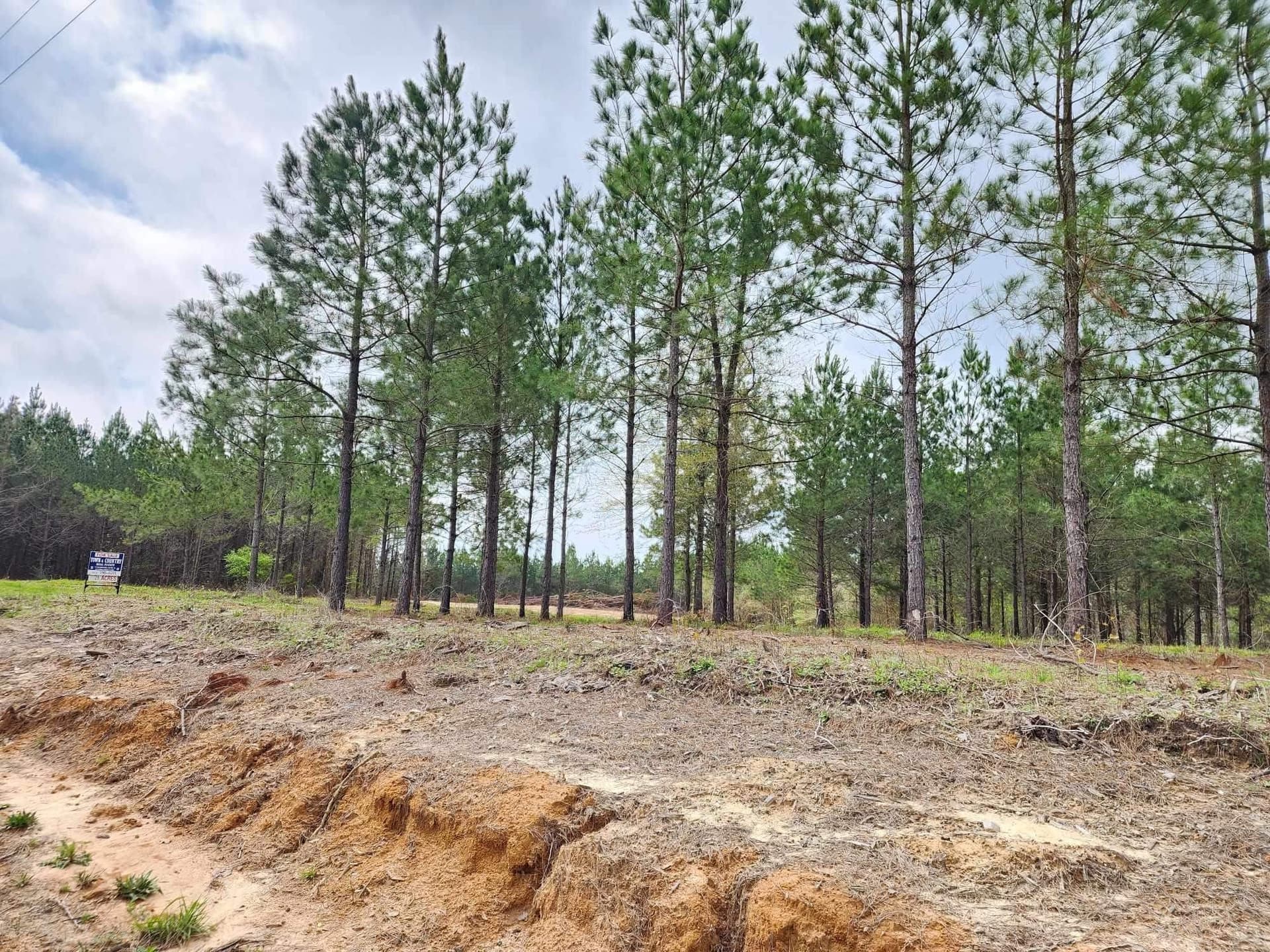 20.32 acres in Texas County - photo 3