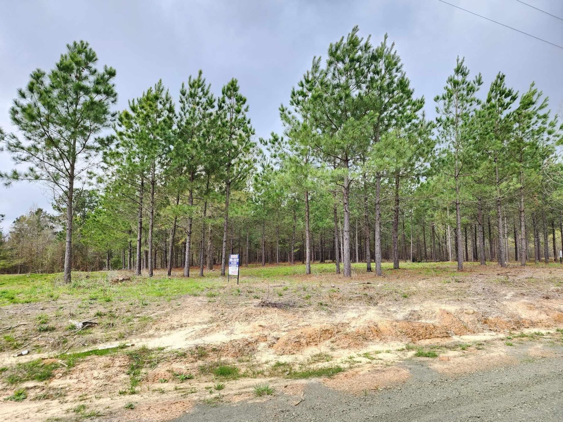 20.32 acres in Texas County - photo 7