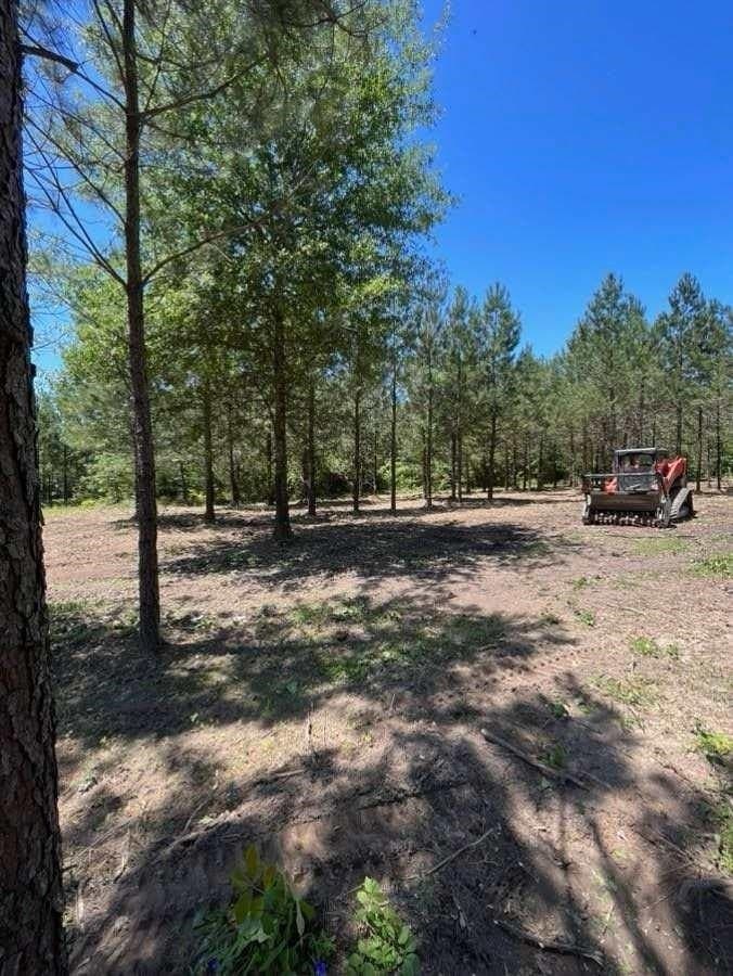 20.32 acres in Texas County - photo 9