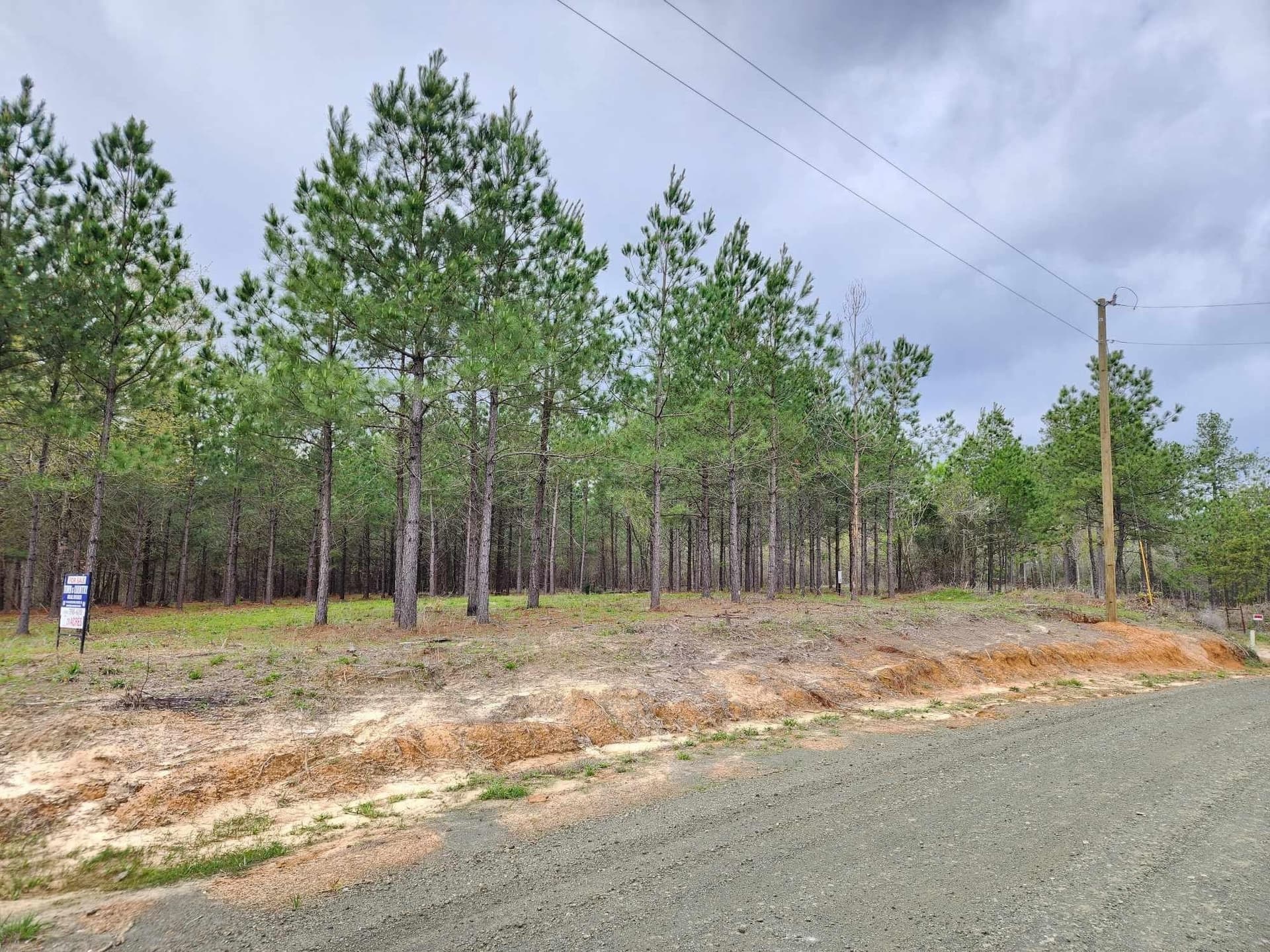 20.32 acres in Texas County - photo 6