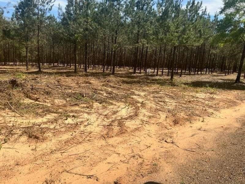 20.32 acres in Texas County - photo 10